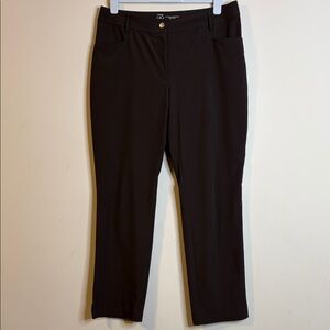 Zenergy By Chico’s Women's Brown Pants Size 2-RG